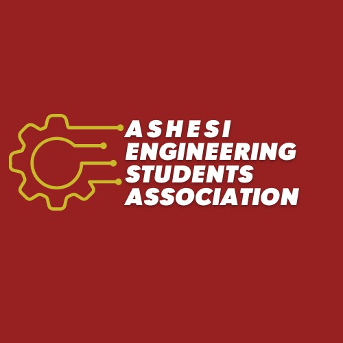 President, Ashesi Engineering Students’ Association (AESA)
